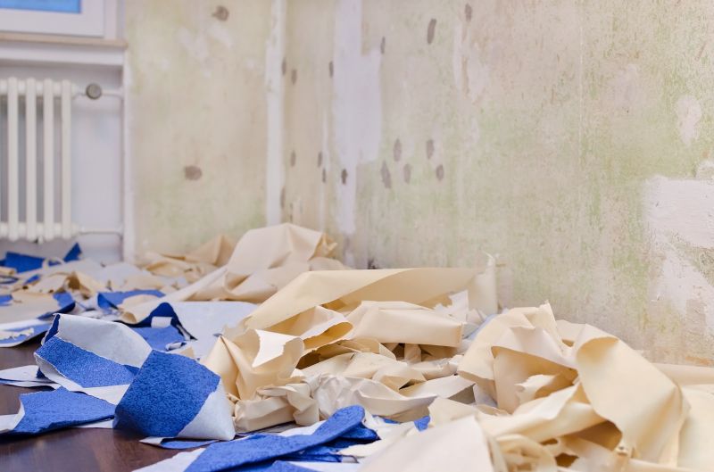 Paint Removal / Stripping