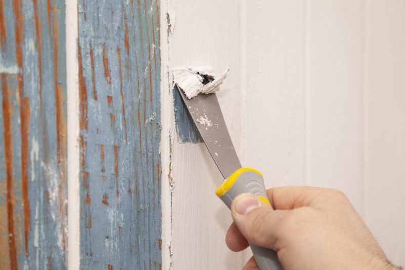 Paint Stripping Service