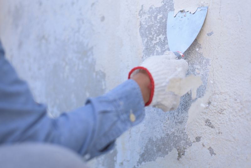 Paint Stripping Service